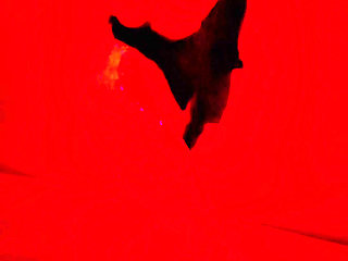 Hhf Threesome with a Subscriber Part 2