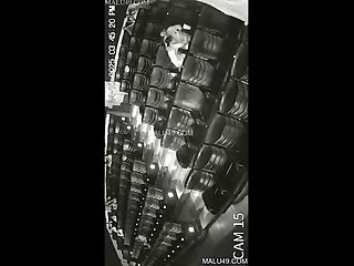 Desi Indian hookup Movie viral mms 2