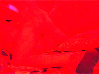 Blowing a Load on Curvy BBW Slut