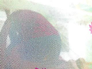 Instagram Influencer Viral Sex Video in Hindi