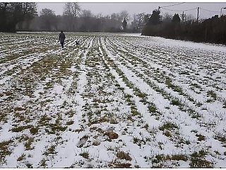 Snow Fuck & Cum Gargle