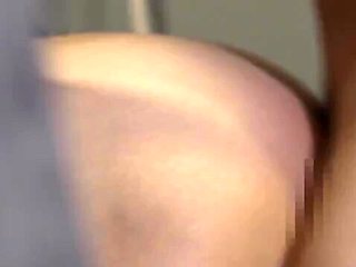 x1xFCFB9D442306D843AF
