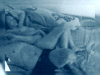 Owen's Wife Thong Sandy Fucks Another Man