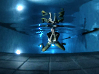 Underwater Swim at Night