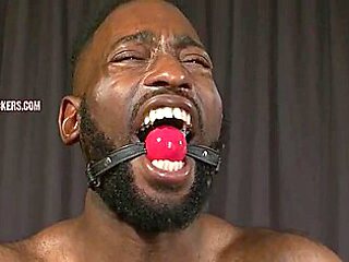 Breeder Fuckers Joseph 1