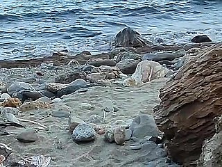 #2 Flashing My Pussy in Front of a Guy in Public Beach and He Helps Me Squirt - It's Very Risky - Misscreamy