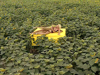 Erotic Palette 02: Yellow Anal Heat