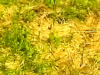 Hairy MILF Blonde Outdoor Casting - Bushy Mature Beauty Has Fun