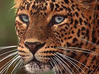 Let the Countdown Begin... Next Model Teaser