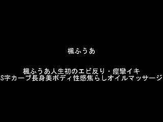 x4xE1DC47E5F2E33B0E7A