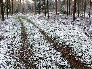 Heating and Beating up Her Tits in Icy Woods