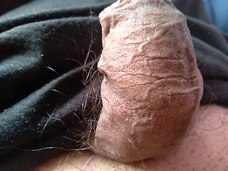 Gay dick wants  to be your sex toy