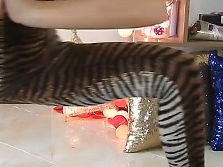 Splits Training Leopard Print Tease Day 3