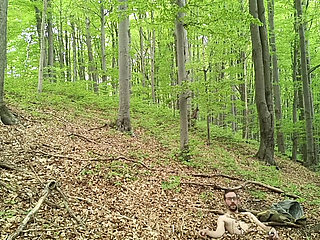 I Chase Him Through the Leaves