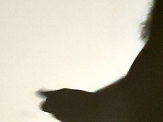 Shadow play