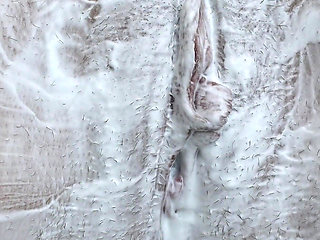 Extreme Closeup of Hairy Tight Pussy Shaving