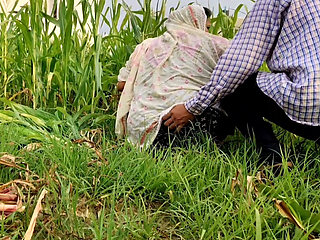 Poor Girl getting Fucked while cutting fodder in the fields.