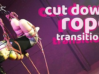 Watch winning Anuskatzz and Lily Lu's dirt