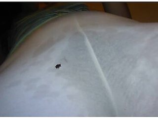 Think Anyone Will Notice Wet Hairy Pussy? ** Free Full Length Video** Content Now Of