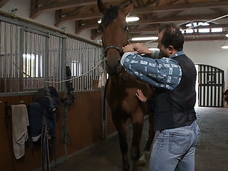 Jockey Girl Rides on Dick