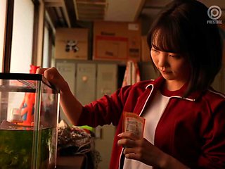 0006258_JAV_JapaneseAV_Censored_MGS_19min