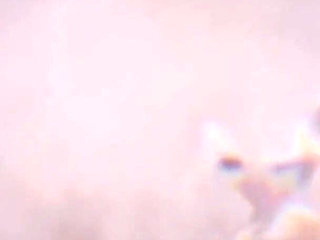 B024 Ntr Girlfriend and Her Transgender Bestie Help Her Ex-boyfriend Train