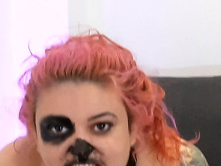 4K Angry Puppy Barking Rabidly Gasping Sniffing All the Room