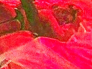 Hardcore amateur interracial fucking