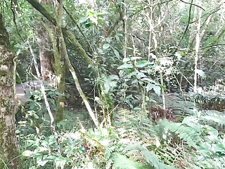 We Have Sex in the Garden of Eden and Nearly Got Caught
