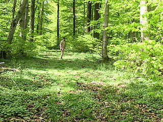 Nude walk in the woods, wanking and huge cumshot