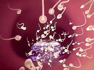 3D Hentai Uncensored Cloud was an asshole.